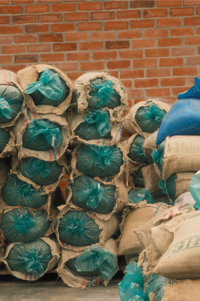 Colombia Granja Paraíso 92 - Pink Bourbon