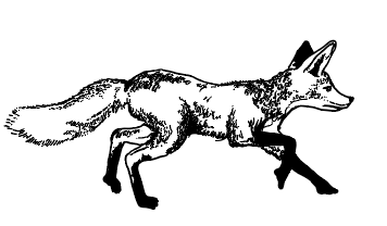 Little Victories Coffee