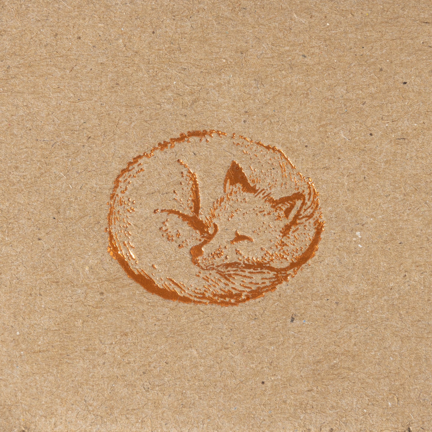 Colombia Granja Paraíso 92 - Sudan Rume (100g Jar)