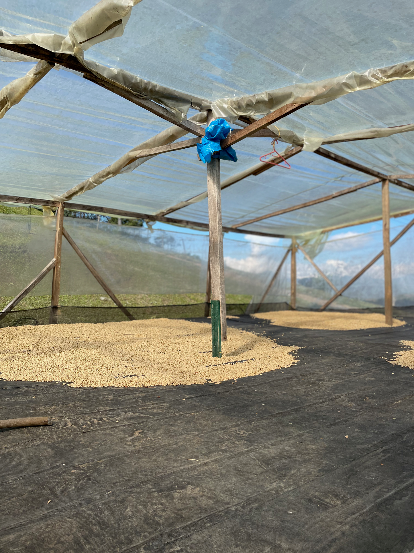 Colombia Nelson Córdoba