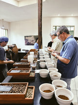 El Salvador Tablon Divisadero - Honey Yellow Icatu