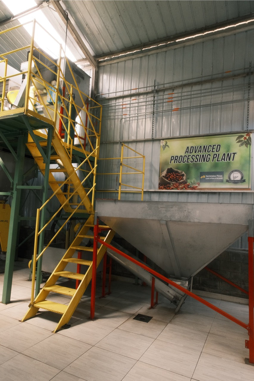 Colombia Granja Paraíso 92 - Pink Bourbon