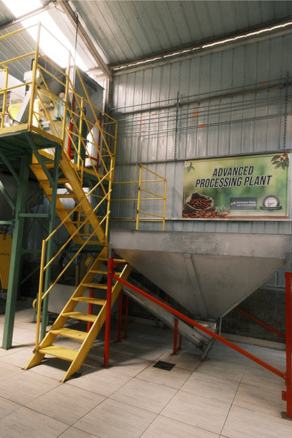 Colombia Granja Paraíso 92 - Pink Bourbon