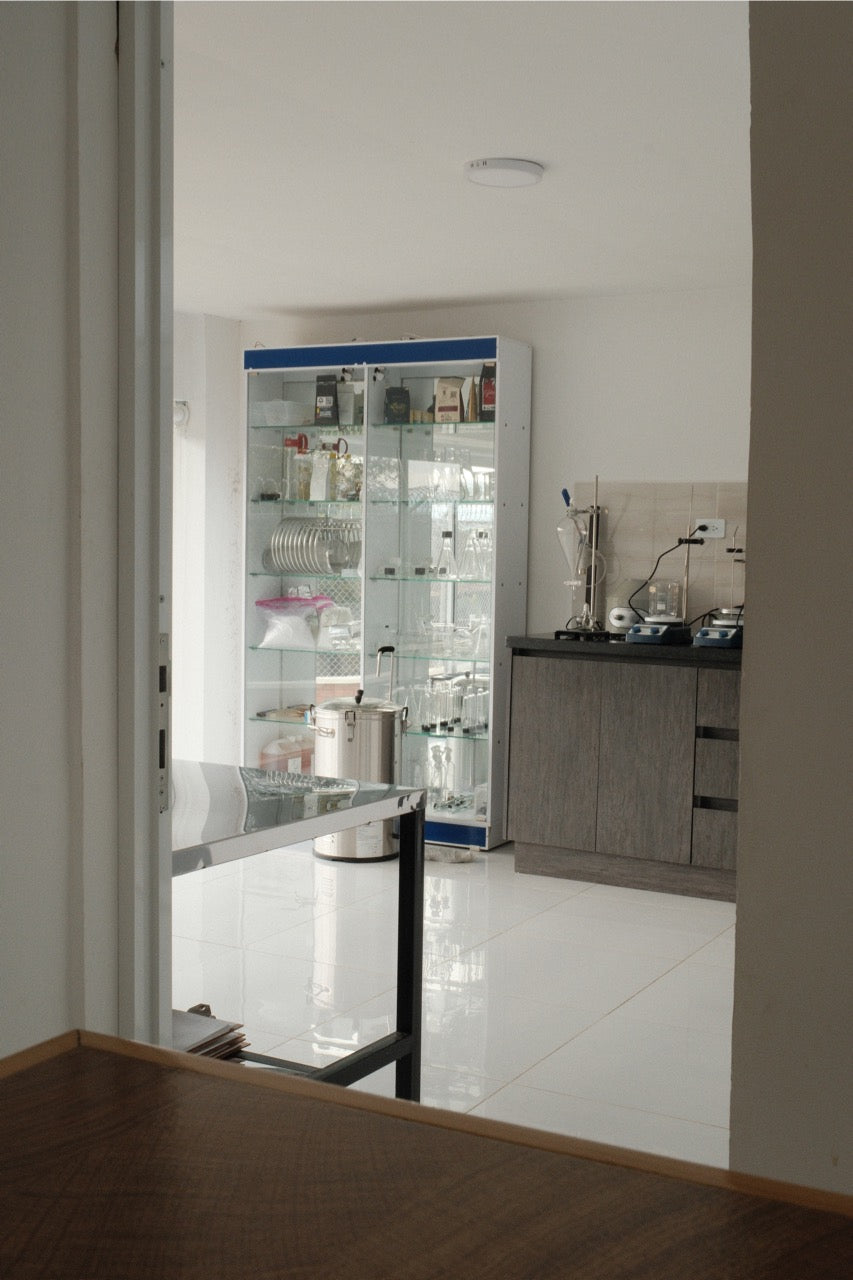 Colombia Granja Paraíso 92 - Pink Bourbon