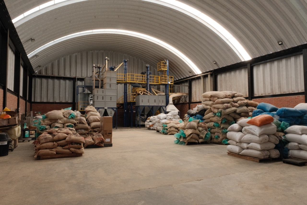 Colombia Granja Paraíso 92 - Pink Bourbon