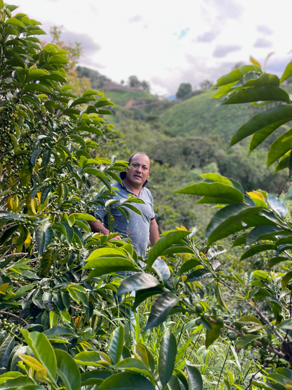 Colombia Nelson Córdoba