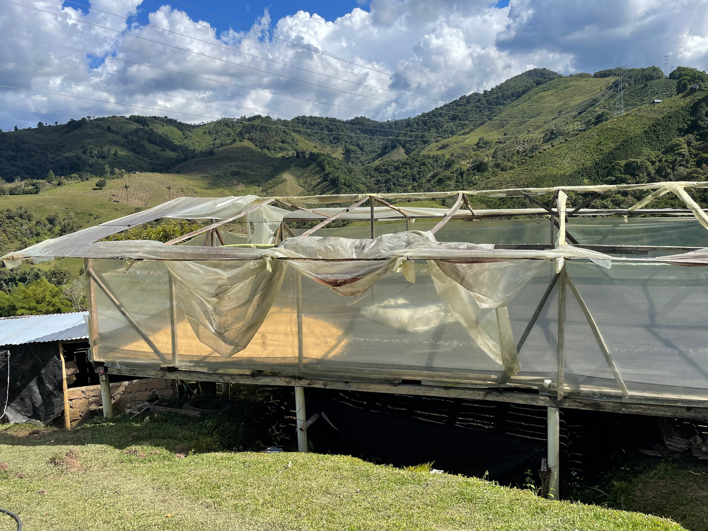 Colombia Nelson Córdoba