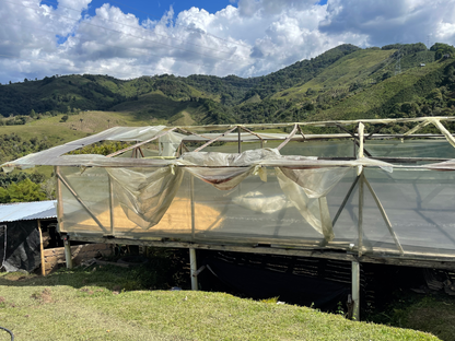 Colombia Nelson Córdoba