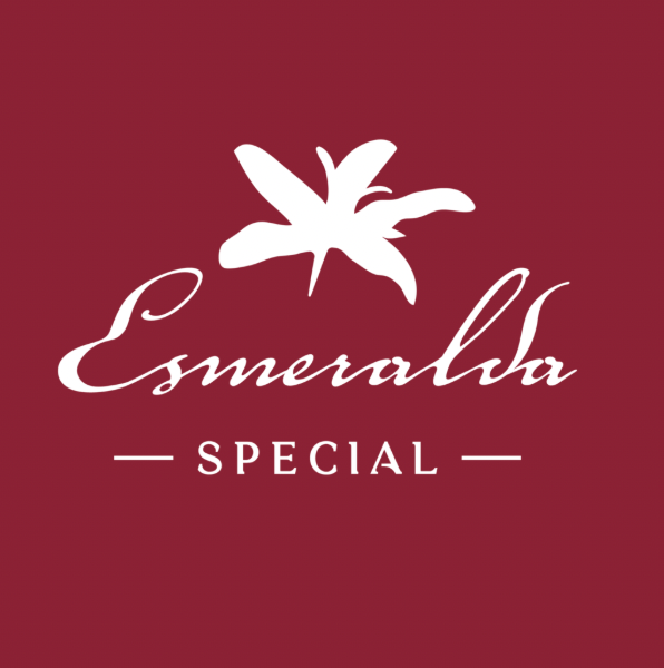 Panama Hacienda La Esmeralda - Washed Geisha