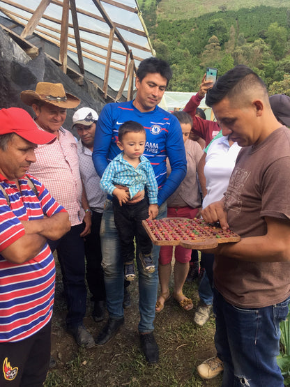 Colombia Jorge Rojas - Gesha (100g Jar)